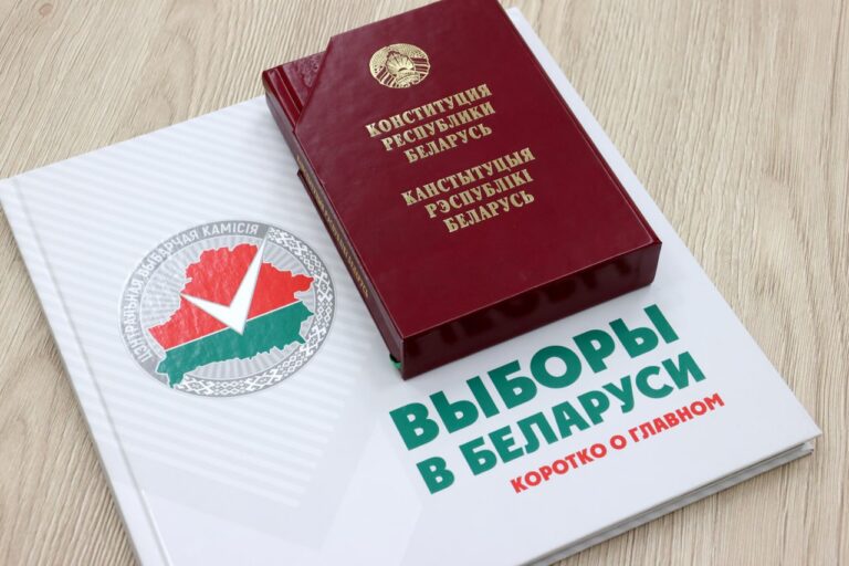 Итоги выборов Президента Республики Беларусь